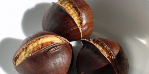 Kako kuhati kestene, šta je korisno